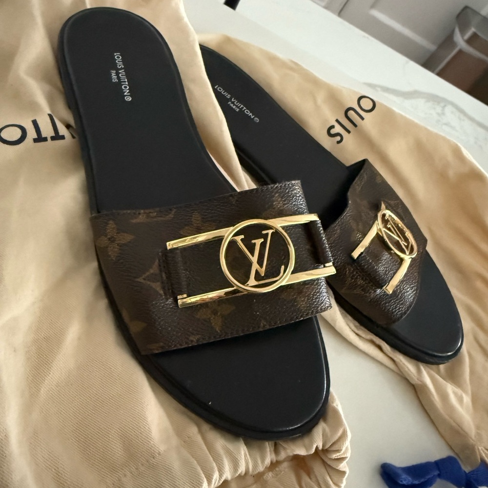 Louis Vuitton Black and Brown Slide Sandals